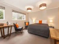 Wanaka View Motel Hotels in Wanaka