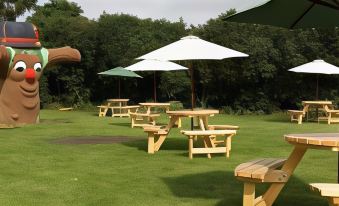 a grassy area with wooden picnic tables and umbrellas , providing shade and seating for visitors at The Queen Victoria