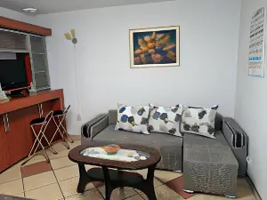 Modernul Apartament de lângă Castel
