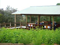 Tsanana Log Cabins and Mullberry Lane Suites