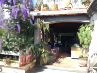 포사다 산 세바스티안