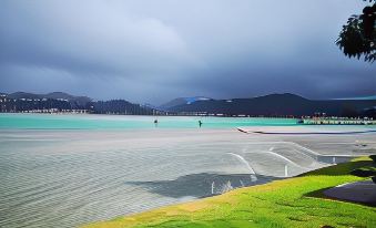 6. 파쿠 로지 리조..