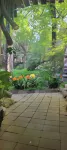 Breena BnB Guest House Hotels near Morningside Shops Bulawayo Zimbabwe