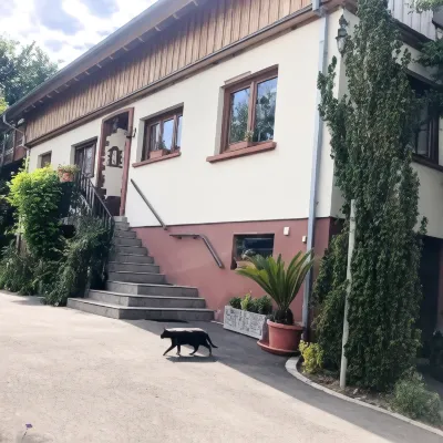 Gite du Ried Hotel a Haguenau