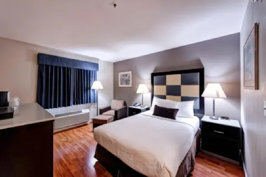 SureStay Plus Hotel by Best Western Redding Hotels near Sculpture Park