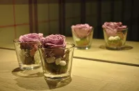 Hotel Gletschergarten Hotels in Grindelwald