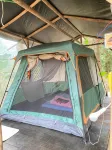 Wassana Camp Khai Jungle Experience