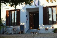 Nova Citrus Otel