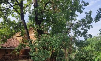 Surwahi Social Ecoestate Kanha