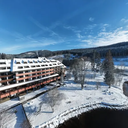 Maritim TitiseeHotel Titisee-Neustadt Отели в г. Титизее-Нойштадт