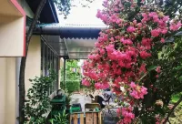 Gibbon Backpackers Hostel โรงแรมใน