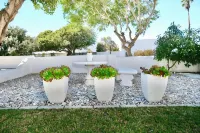 パターノスター プレイス