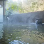 Takinoso