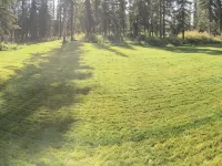 Casey’s Bear Den is a cozy cabin near Johnson Lake and the Kasilof River Hotels in Cohoe