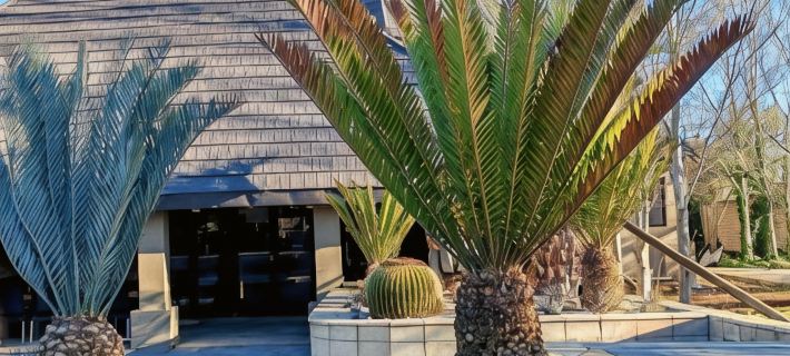 Monte Christo Hotel Hotels in Bloemfontein