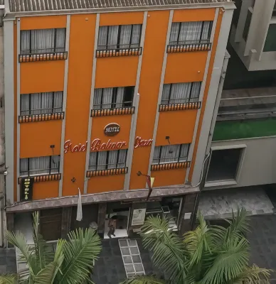 Hotel Bolivar Plaza - Pet friendly