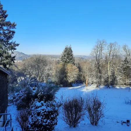 Chalet in Raon-l'Etape near Lake