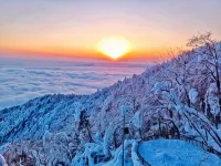 Wawu Mountain Corner Coffee·Homestay
