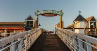 Steveston Waterfront Hotel - صديق للحيوانات الاليفة