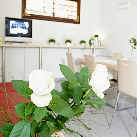 Hotel Cervetta 5