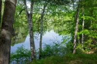 Spacious 5-bedroom house in serene Clam Lake with WiFi