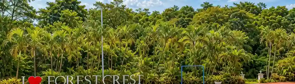 Forest Crest Nature Hotel and Resort