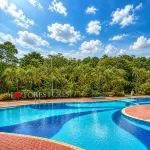 Forest Crest Nature Hotel and Resort - Pools