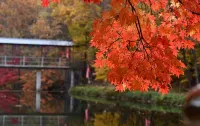 Linjian Wild Luxury Mountain View Resort Homestay (Kuandian Sandaowan Branch) - Mountain view