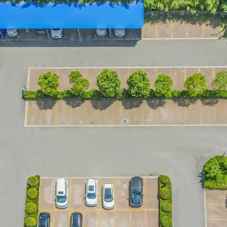 Swan Lake International Hotel