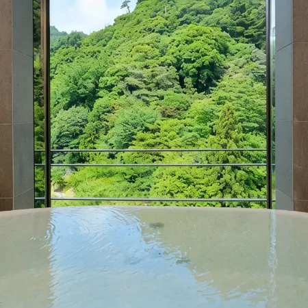 Arima Onsen Gekkoen Korokan