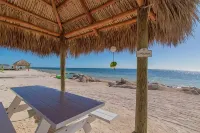 BEACHFRONT CONDO on Coco Plum Beach with Heated Pool - Homestays