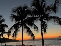 Paradise Palms! - Homestays