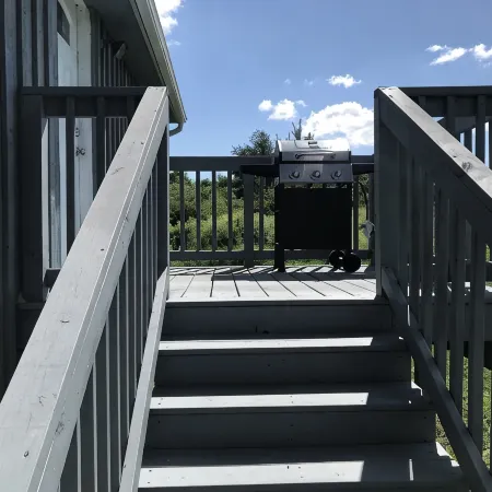 Newly Renovated Rustic Cabin w/WiFi in the Heart of the Finger Lakes