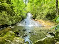 NEW FOREST COTTAGE W/GRILL & SCREENED IN PATIO:HIKE, FISH, GOLF, WATERFALLS - Boutique