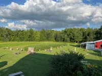 Trails End Cabin, Pet Friendly, Lake James Oasis - Alphydda