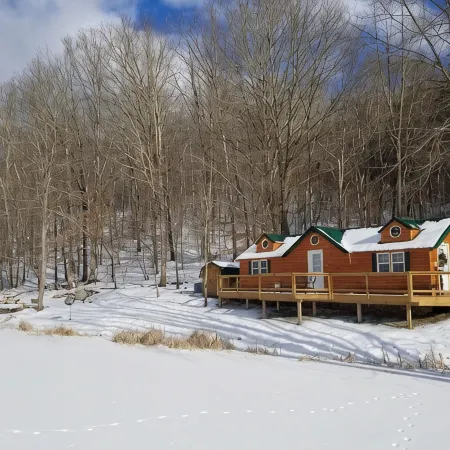 Hocking Hills-Dog Friendly Cabin with Private Pond .. Adults 18 and Older