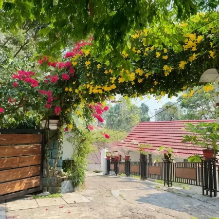 Little Chandhana Guest House