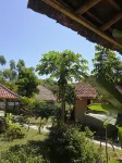 Melody Ekas Surf Lombok - Pet friendly