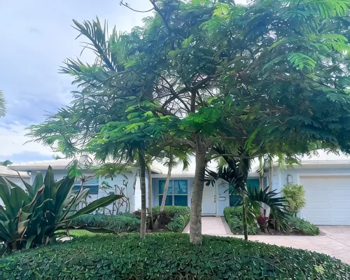 Private Luxury Oasis Minutes From The Beach w/ Private Heated Pool Hotels in Lighthouse Point