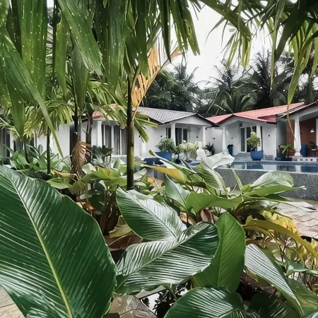 DD Cottages Mandrem