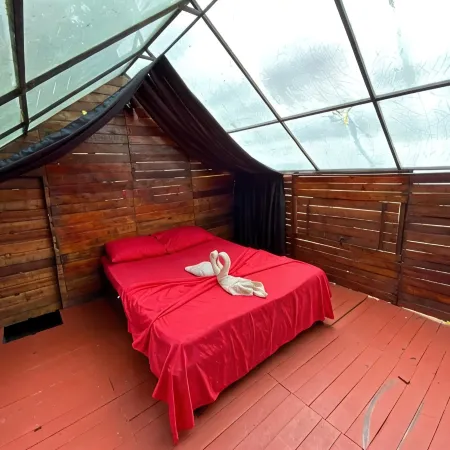 Hotel Glamping Horse