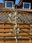 Hotel Sonne