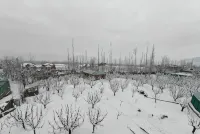 Gulmarg Orchard - Wifi