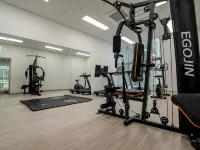 Golden Planet Hotel-Pyeongtaek Godeck - Gym