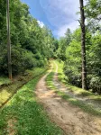 BearPaw Cabin- Charming and cozy cabin in the woods- WiFi-Pet Friendly-Secluded