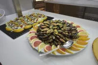 Hotel Caribe Ibiza - Breakfast