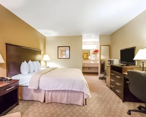 Quality Inn & Suites Greenville I-65 - Parkplatz