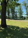Cozy acorn cottage w/ lake view - WiFi
