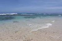 PANORAMA Ocean View Cottage - Mountain view