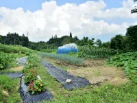プチホテル アイリス 小谷村のホテル